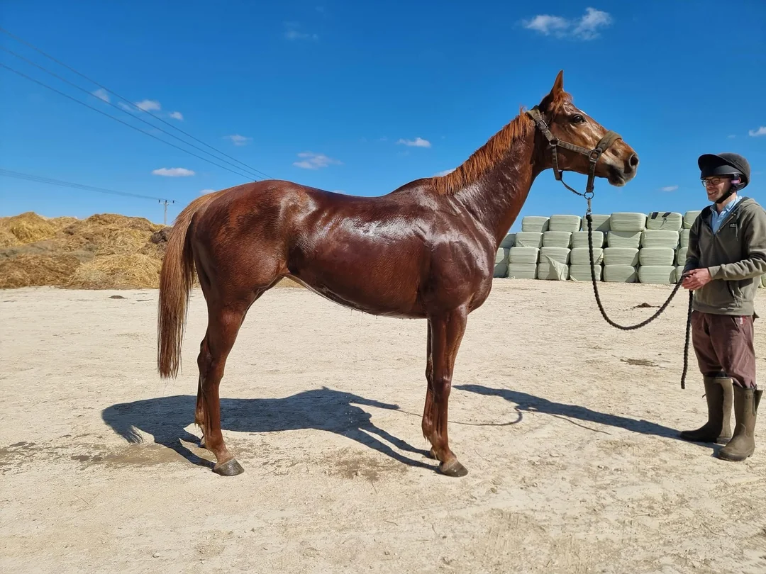 Health Care and Common Issues